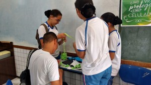 recicla